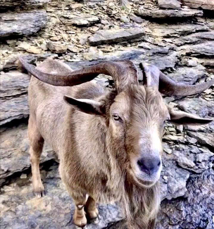 Above J’town Marina, Lcky. boat parking. 3 full baths. pool table. pet friendly. in Lake Cumberland