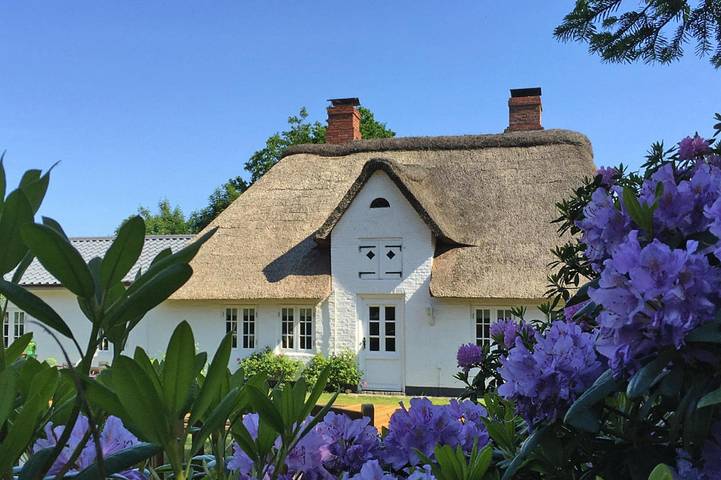 Ferienhaus für 6 Personen, mit Terrasse und Sauna, mit Haustier - 1