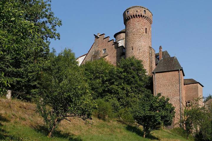Ferienhaus für 4 Personen, mit Seeblick und Garten sowie Ausblick, mit Haustier in Rheinland-Pfalz - 3