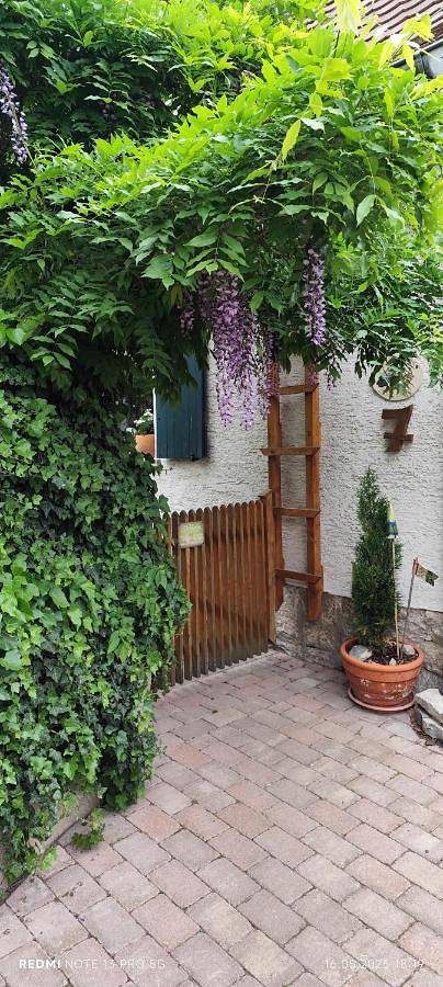 Ferienwohnung für 4 Personen, mit Balkon und Terrasse sowie Ausblick in Ochsenfurt - 2