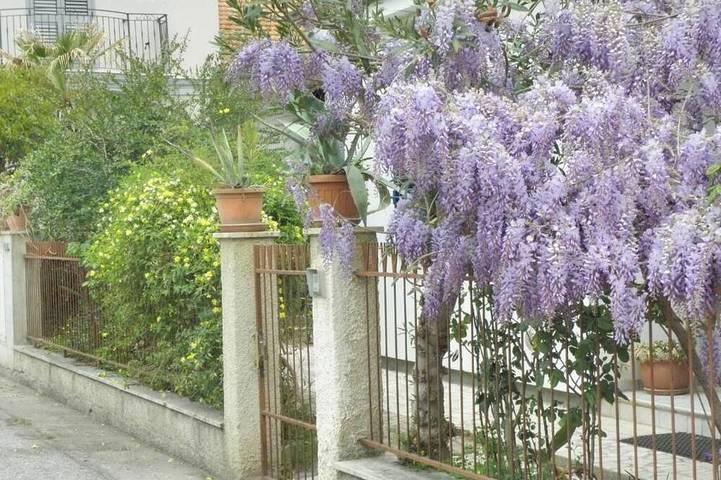 Holiday apartment for 6 people, with pets - 1