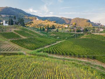 Agriturismo per 6 Persone in Lucca, Provincia di Lucca, Foto 3