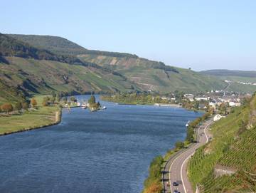 Zimmer für 2 Personen in Wintrich, Mosel, Bild 1