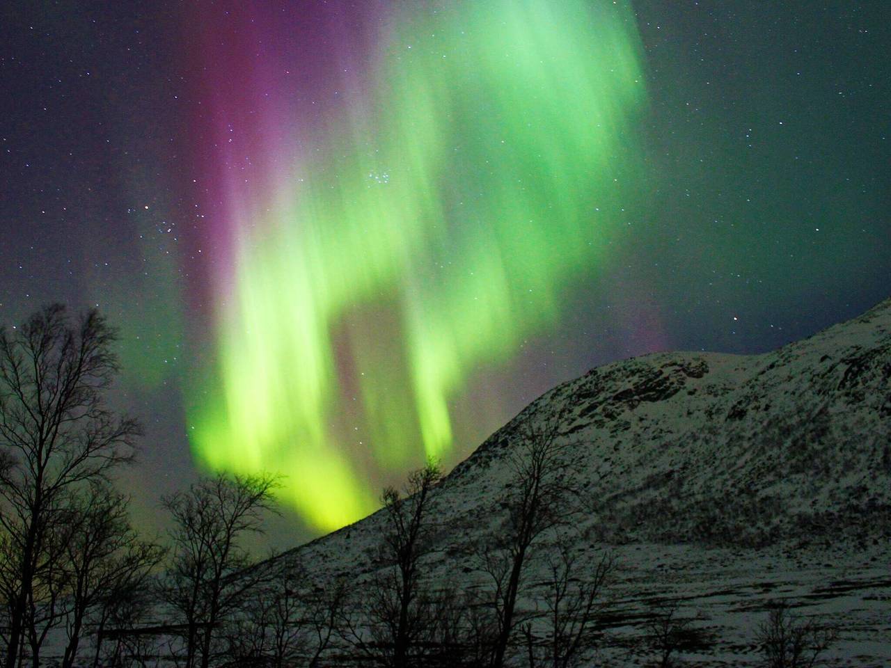 6 personas casa en Senjahopen-By Traum in Senja, Berg (Noruega)