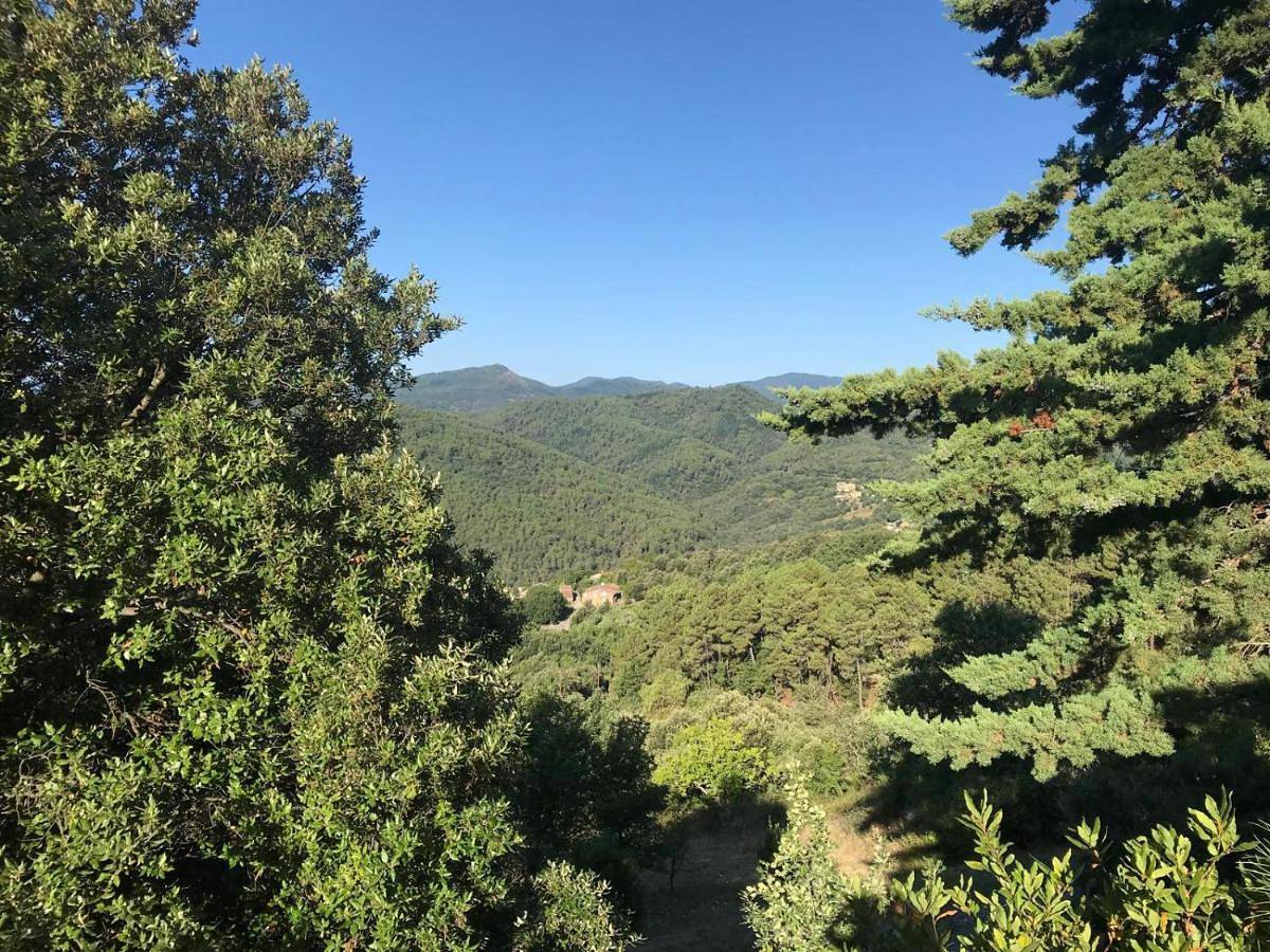 Ganze Wohnung, One-Bedroom Apartment in Chassiers, Parc naturel régional des Monts d'Ardèche