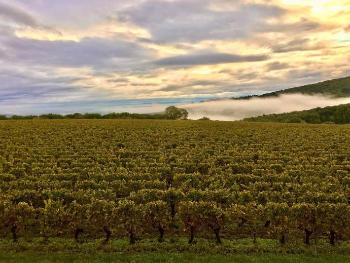 Location de vacances pour 8 personnes, avec jardin et vue à Lugny - 4