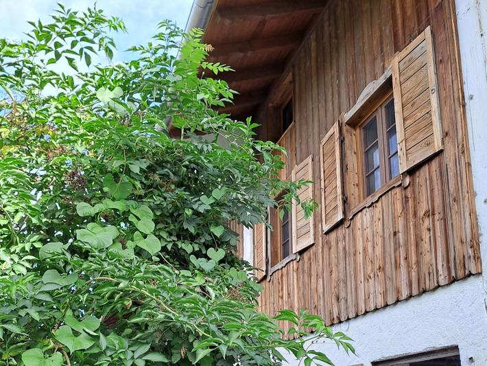 Ferienhaus für 3 Personen in Warngau