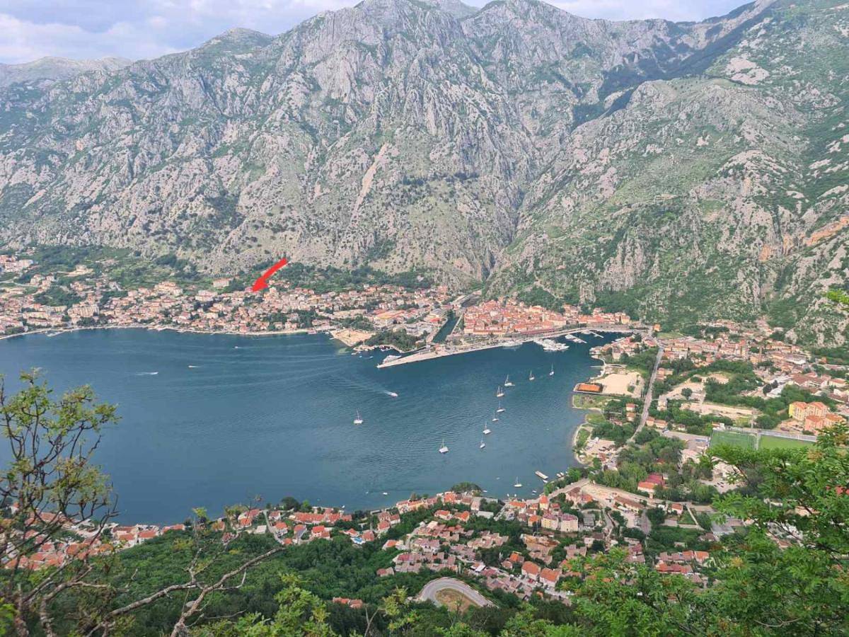 Ganze Wohnung, Apartments Lazarević in Kotor, Boka Kotorska