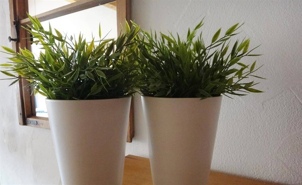 Ganze Ferienwohnung, Ferienwohnung Sonne in Bolsterlang, Bayerisch Schwaben