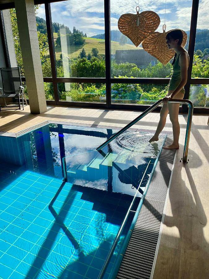 Chambre d’hôte pour 2 personnes, avec Balcon ainsi que Piscine et Sauna à Baiersbronn - 3