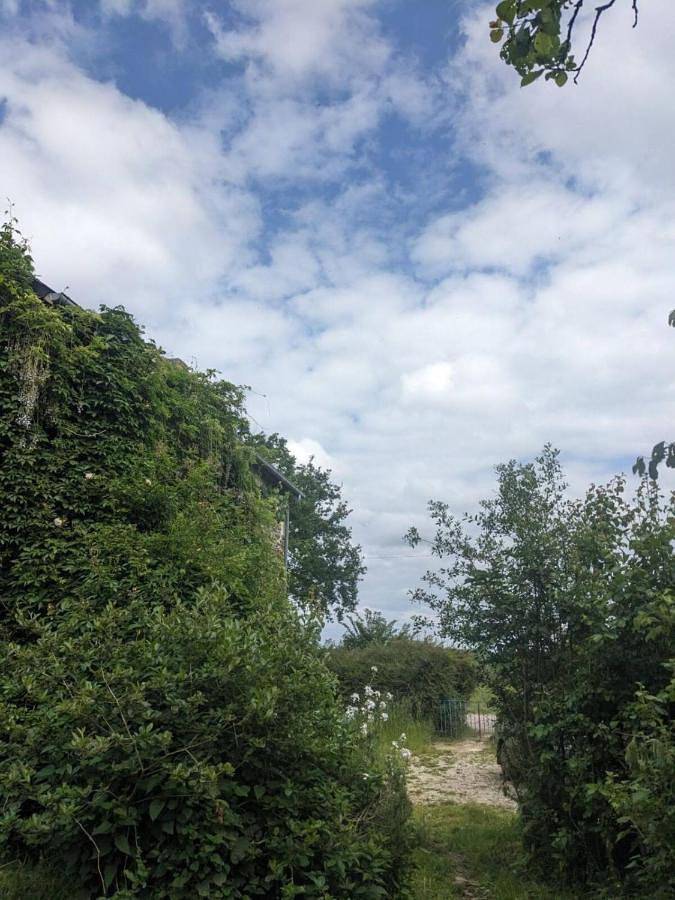 Gîte pour 3 personnes, avec terrasse ainsi que jardin et vue à Donnay - 2