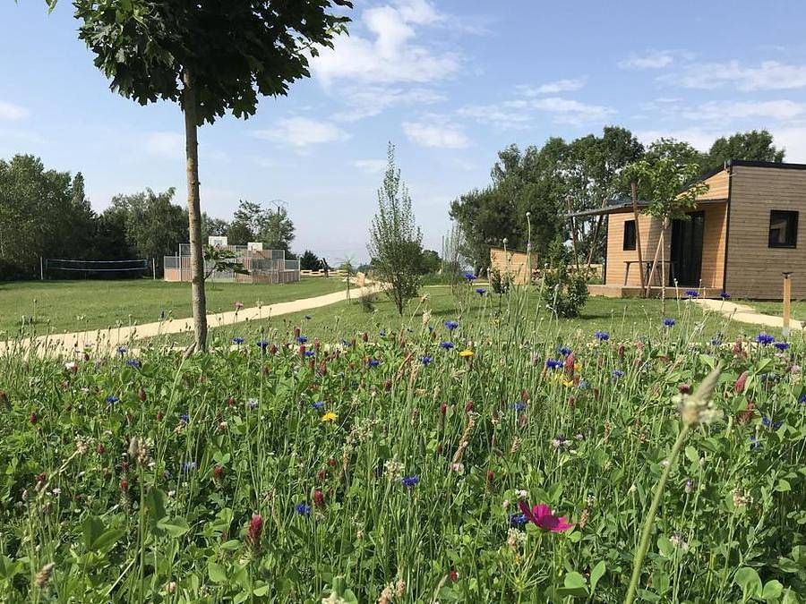 Camping L'Offrerie - Dordogne - Périgord noir - Casa rural 4 personas - Casa rural Maison Jazz in Rouffignac-Saint-Cernin-de-Reilhac, Périgord Noir