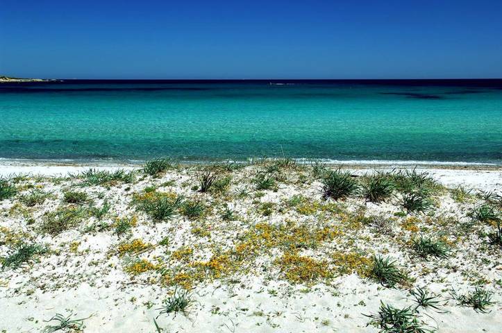 Location de vacances pour 3 personnes, avec vue et jardin, adapté aux familles à Porto Ottiolu - 2