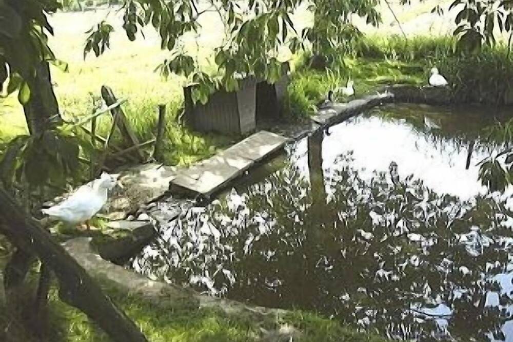 300 Yr Old Breton Ferme En Situation tranquille avec piscine chauffée in Louvigné-du-Désert, Fougères-Vitré