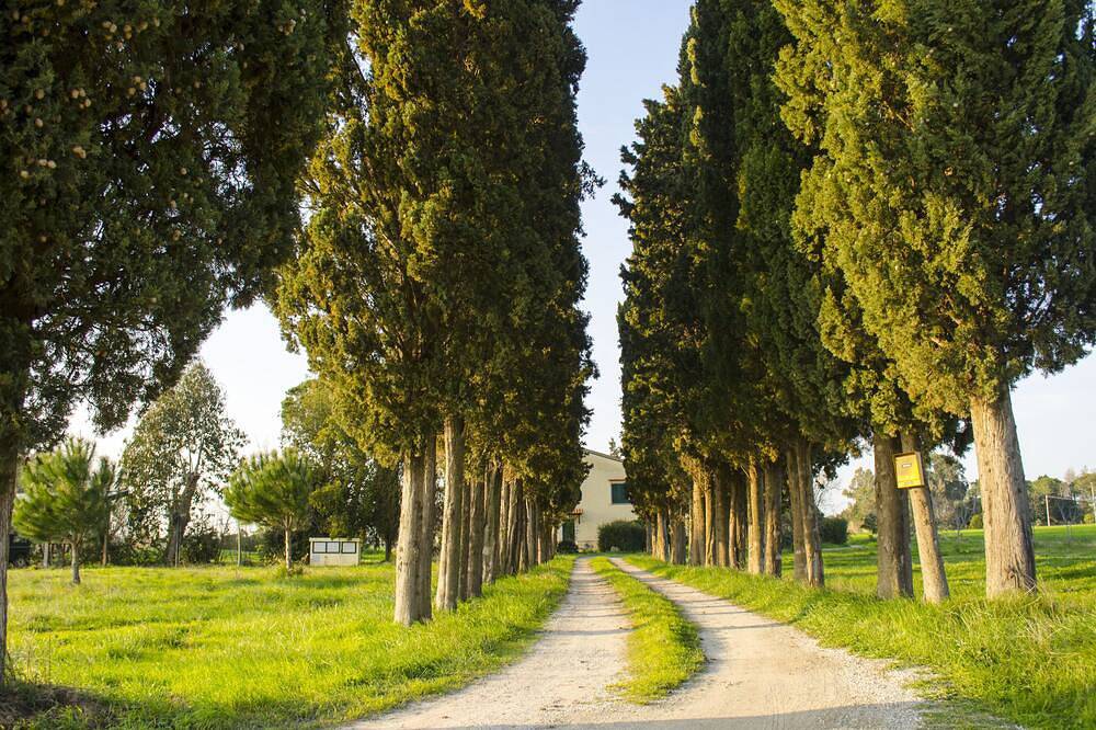 Entire apartment, Holidays in Tuscany with family in Castagneto Carducci, Etruscan Coast