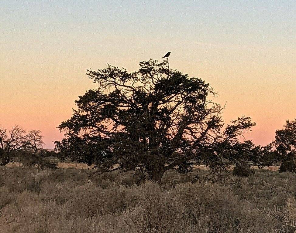 073 Grand Canyon South Rim Star Gazing Retreat Sleeps 8 in Coconino County