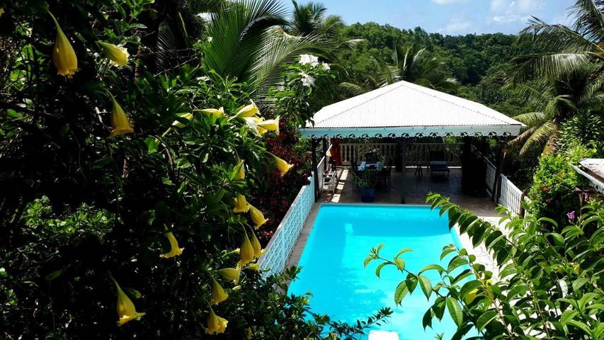 Maison d’hôte pour 3 personnes, avec vue ainsi que jardin et piscine, animaux acceptés à Les Abymes - 4