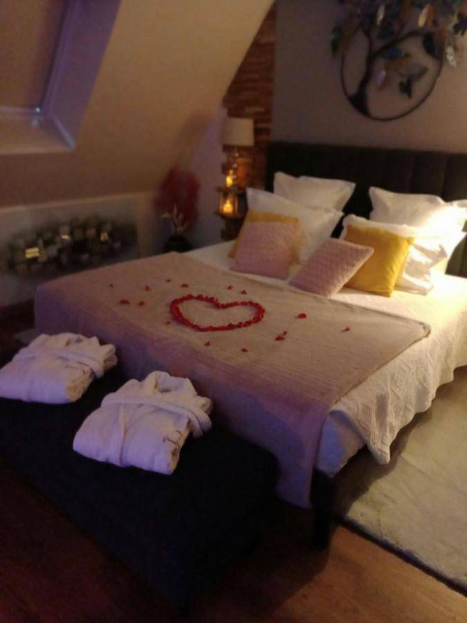 Gîte pour 2 personnes, avec jacuzzi et jardin ainsi que sauna et terrasse à La Vraie-Croix - 3