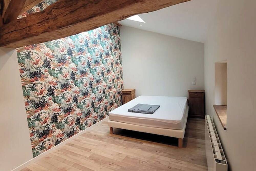 Maison poitevine 9/10 personnes in Chaunay, Vienne (France)
