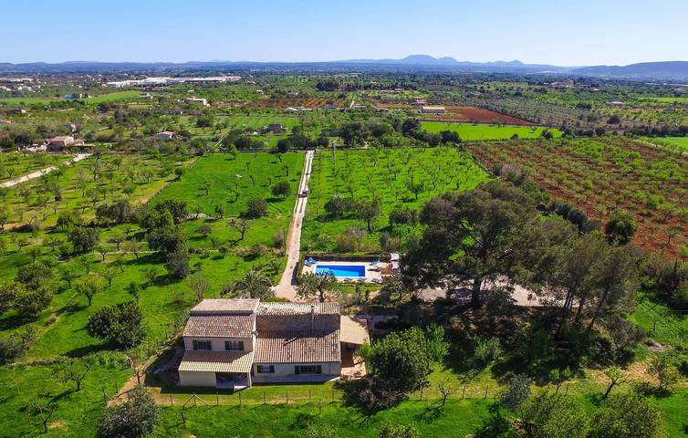 Finca für 12 Personen, mit Terrasse in Binissalem - 3
