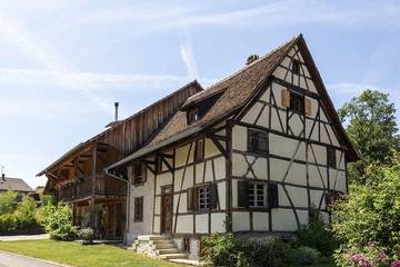Gîte pour 15 personnes, avec terrasse et jardin, animaux acceptés dans le Haut-Rhin