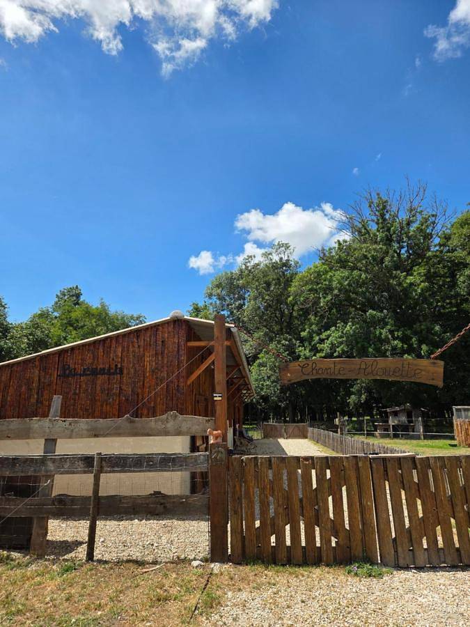 Maison de campagne pour 2 personnes, avec Jardin ainsi que Piscine et Vue à Étauliers