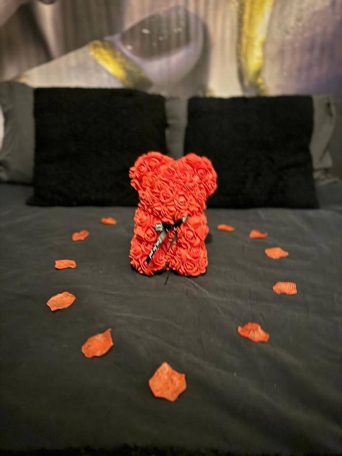 Gîte pour 2 personnes, avec jardin ainsi que terrasse et jacuzzi à Bruz - 3