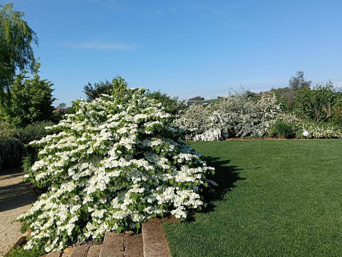 Florario B&B in Chieri, Province de Turin