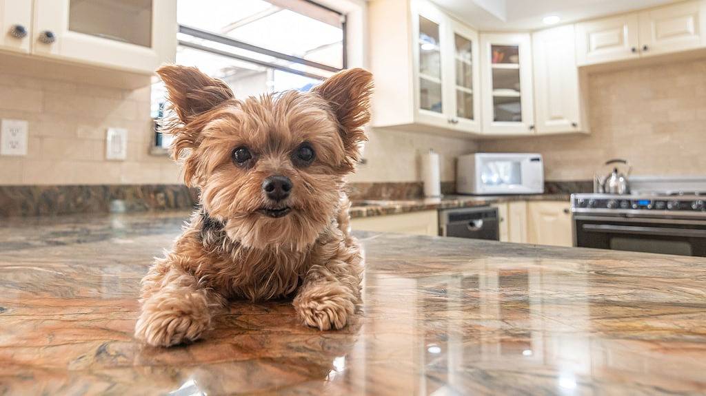 Atemberaubendes Einfamilienhaus am Rainbow River in Marion County (FL)