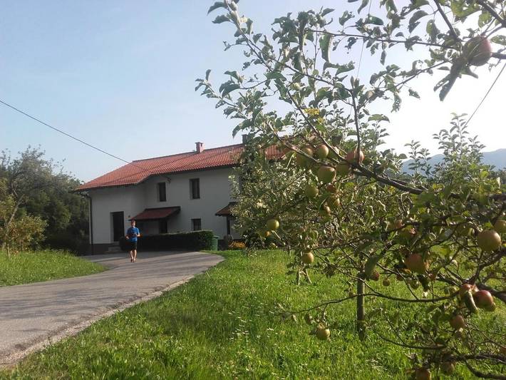Gîte pour 3 personnes, avec jardin et vue, animaux acceptés à Kobarid - 3