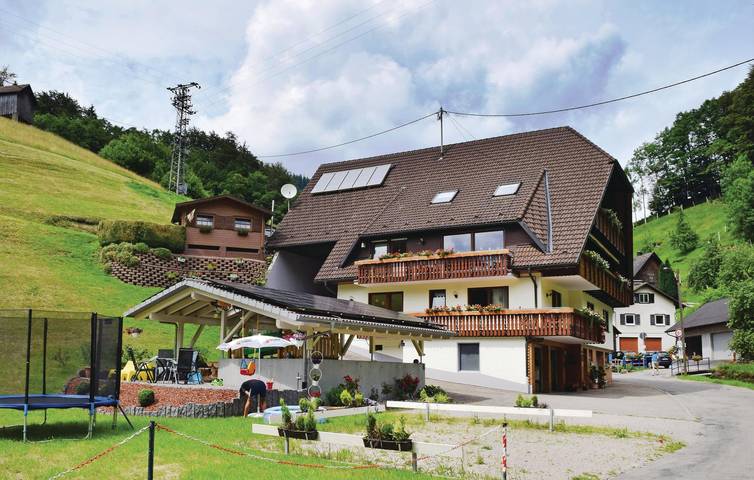 Ferienwohnung für 5 Personen, mit Terrasse und Garten sowie Sauna in Bad Peterstal-Griesbach