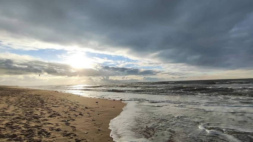 Ferienhaus für 7 Personen, mit Terrasse in Klitmøller - 3