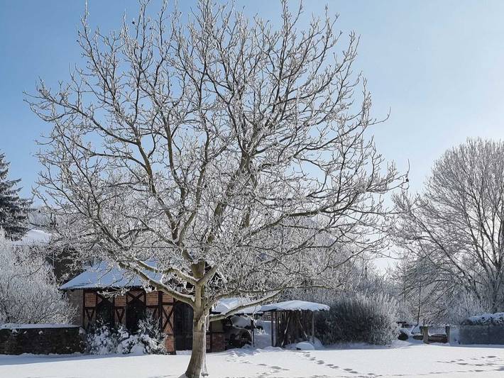 Ferienwohnung für 3 Personen, mit Garten und Terrasse, kinderfreundlich in Saale-Unstrut - 2