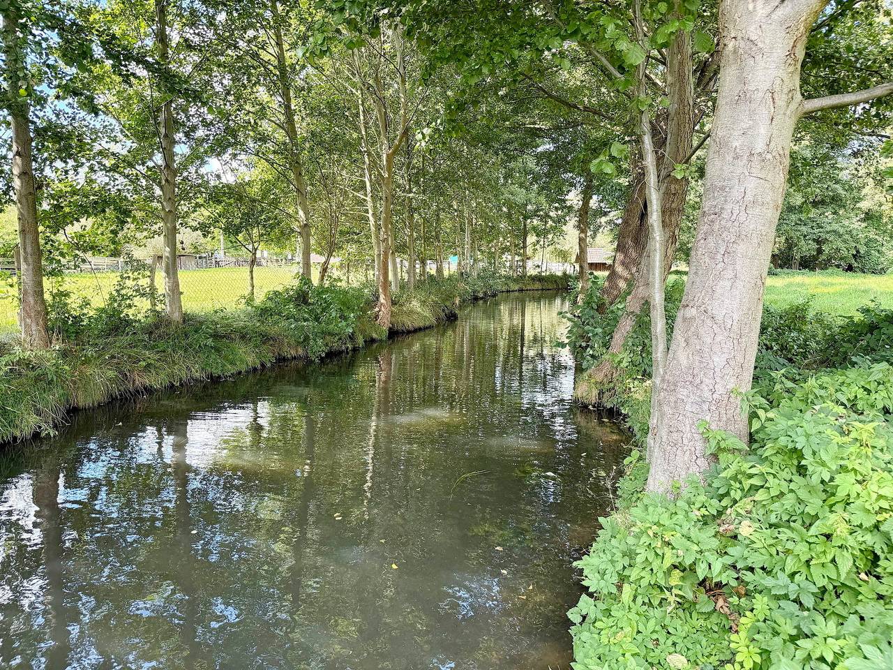 Apartamento vacacional entero, Nature Sonnentau in Burg (Spreewald), Bosque del Spree