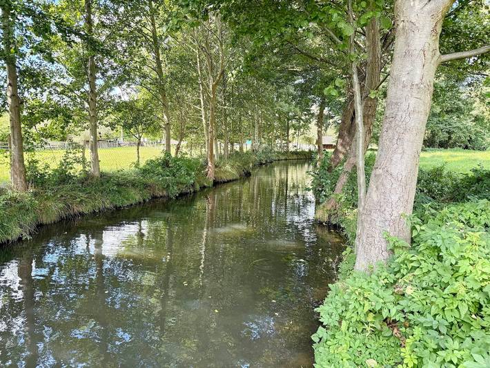 Ferienwohnung für 4 Personen, mit Garten und Terrasse, mit Haustier in Burg (Spreewald) - 3