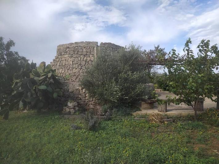 Landhaus für 2 Personen, mit Garten und Ausblick sowie Pool, mit Haustier in Italien - 3