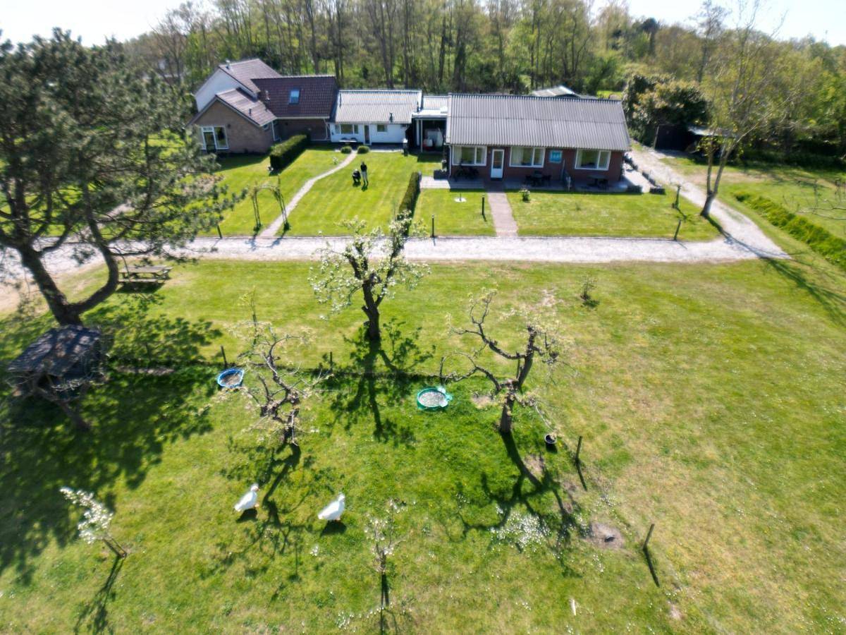 Little Creek - Lodges in het natuurgebied in Renesse, Zeeuwse Kust