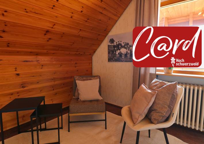 Ferienwohnung für 6 Personen, mit Sauna und Balkon, kinderfreundlich - 1
