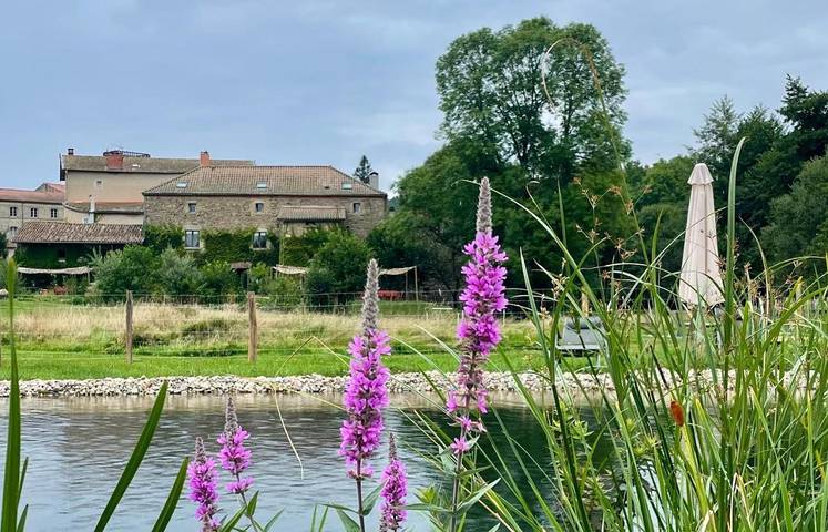 Location de vacances pour 20 personnes, avec vue ainsi que jardin et piscine, animaux acceptés à Saint-Dier-d'Auvergne - 3