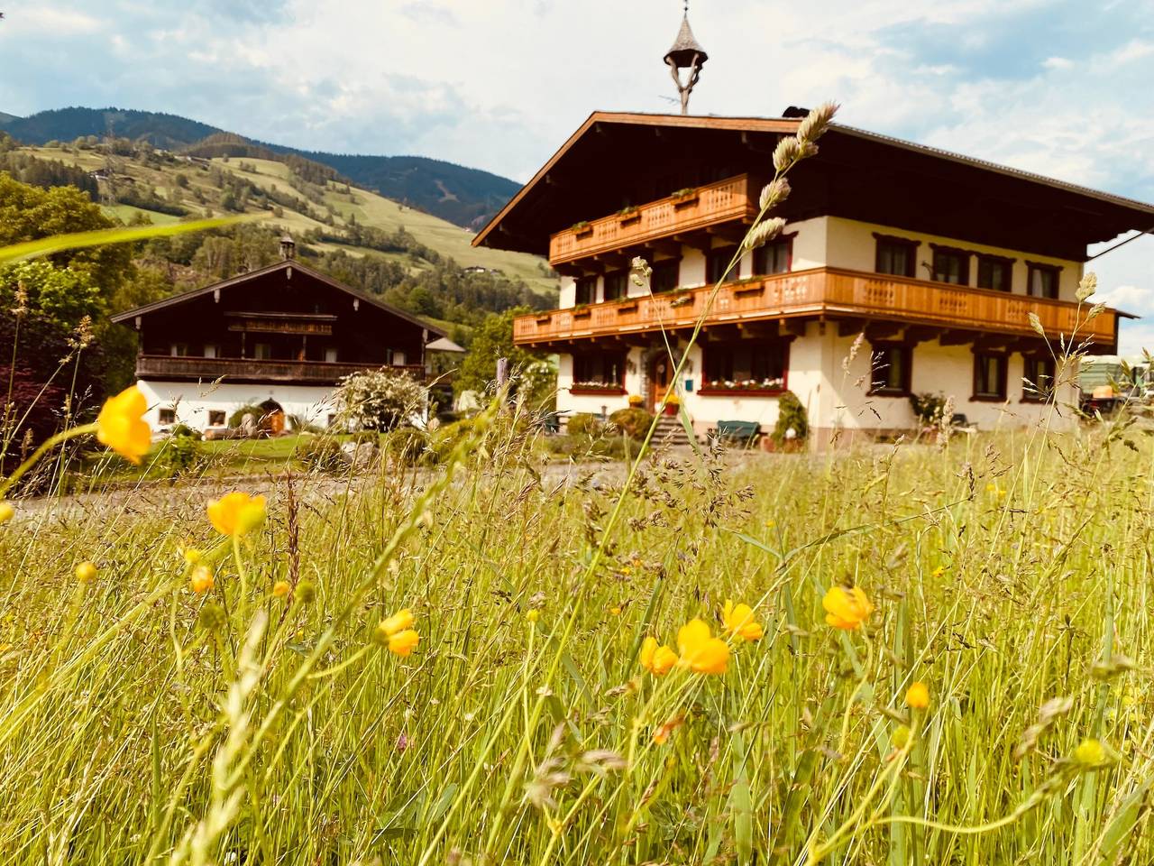 Ganze Wohnung, Ferienwohnung 1 mit Aussicht  in Taxenbach, Ski Amadé