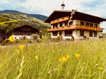 Ferienwohnung für 5 Personen in Hohe Tauern, Taxenbach, Bild 3