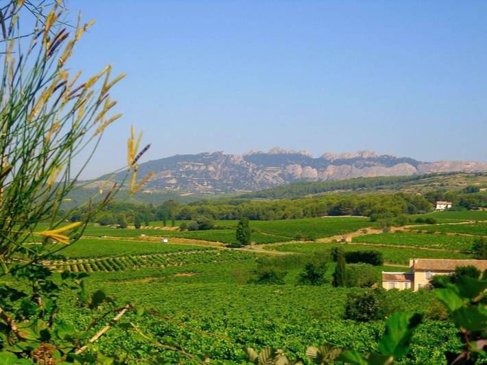 Chambre d’hôte pour 3 personnes, avec Terrasse ainsi que Jardin et Vue à Saint-Hippolyte-le-Graveyron