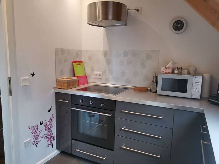 Ferienhaus für 3 Personen, mit Terrasse, mit Haustier in der Pfalz - 4