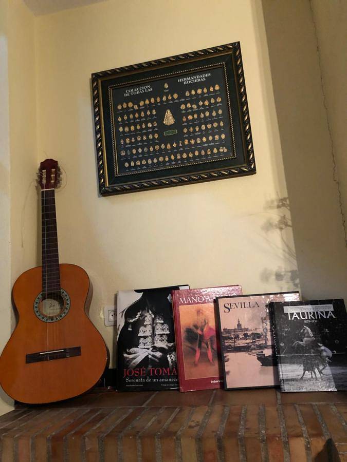 Location de vacances pour 20 personnes, avec vue et jardin à El Rocío - 2