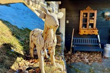 Chalet für 8 Personen in Gryon, Alpes Vaudoises, Bild 1