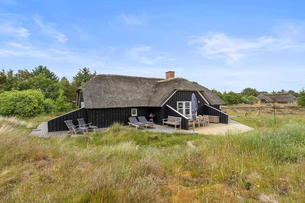 Pool-Haus für 8 Personen und Hund auf Fanø in Sønderho, Wadden Sea National Park