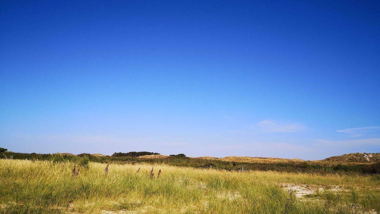 Ferienhaus für 8 Personen (170 m²) in Fanø in Sønderho, Fanø