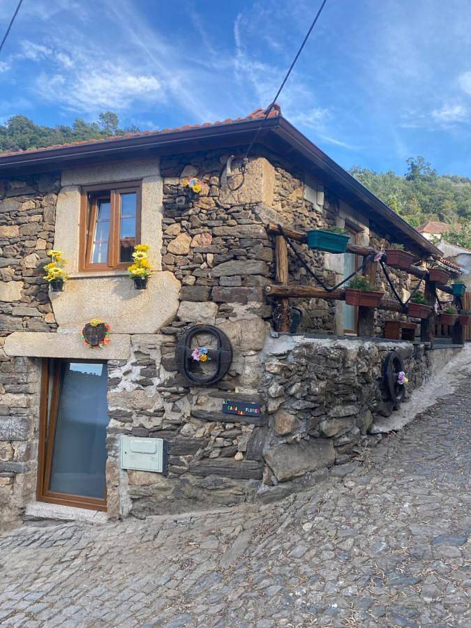 One-Bedroom House in Lamego, Vale do Douro