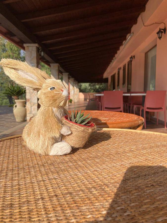 Gîte pour 3 personnes, avec jardin et vue à Castiadas - 4