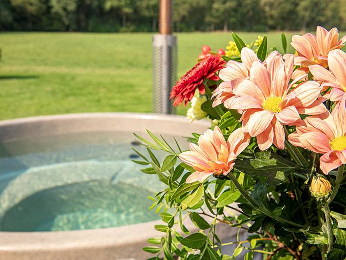 Ferienhaus für 40 Personen, mit Garten und Terrasse in Losser - 4